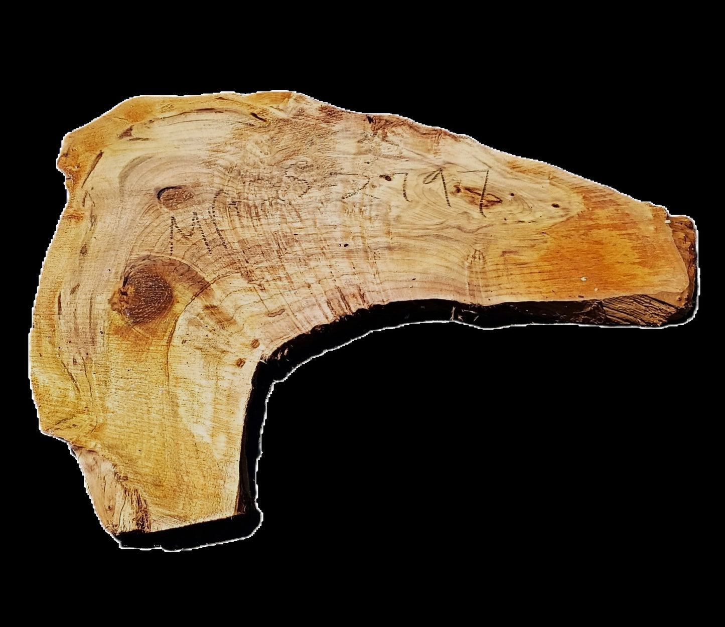 Myrtle Burl Slab | Live Edge | river table | DIY | Mrt25-2797