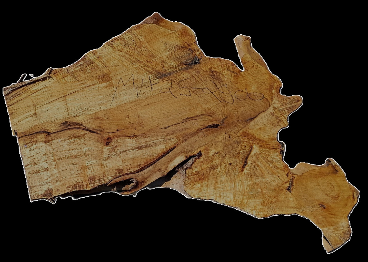 Myrtle Burl Slab | Live Edge | river table | DIY | Mrt25-2800