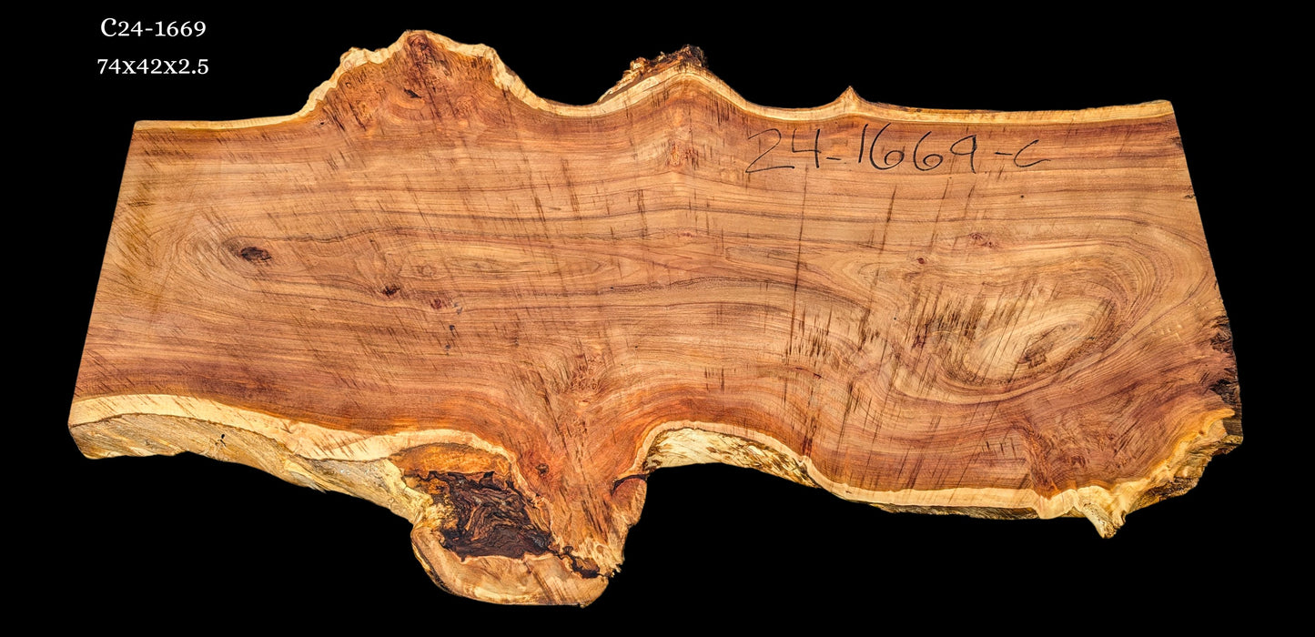 Poplar burl | live edge slab | DIY craft ideas | River Table | C24-1669