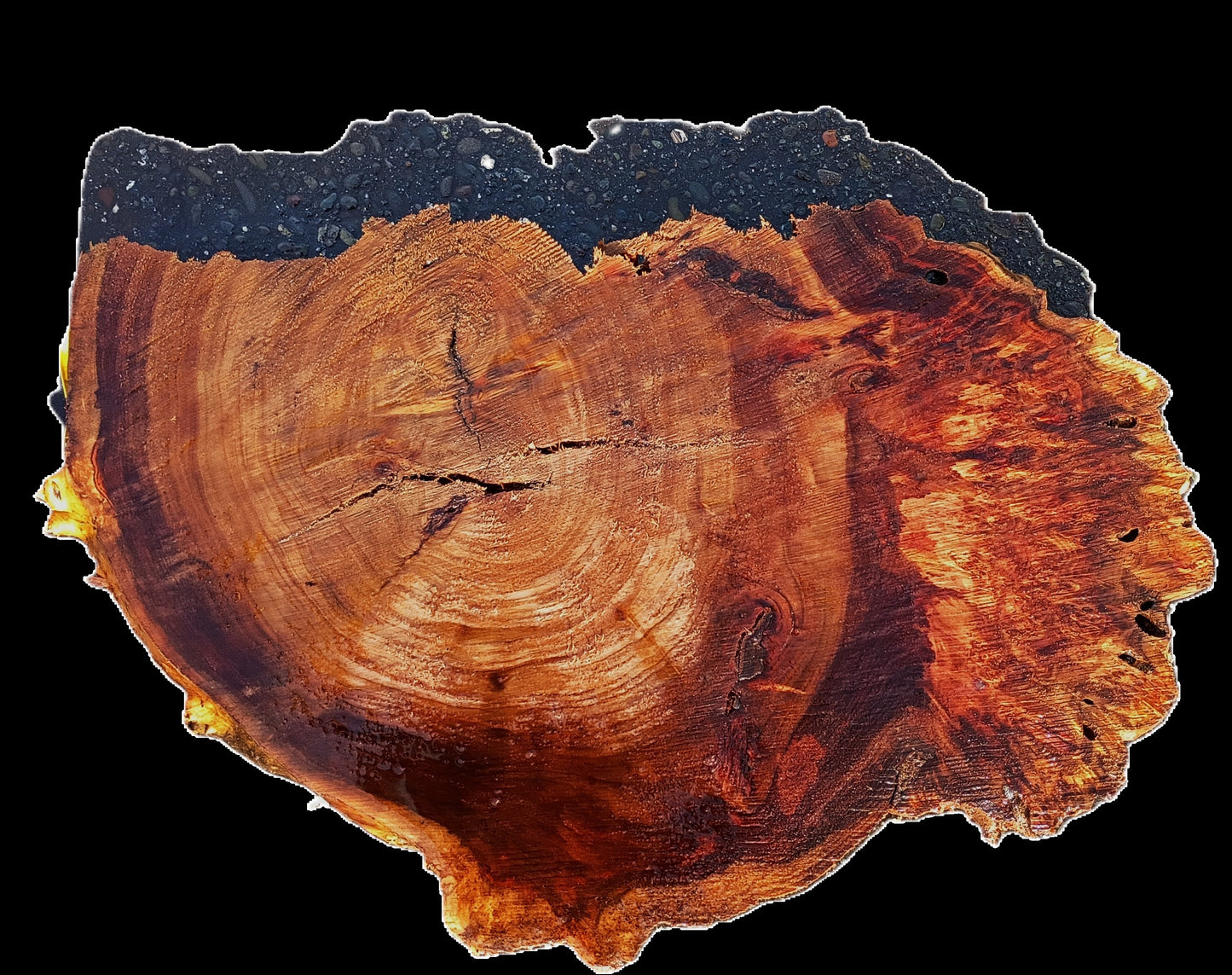 Mappa Burl | Live Edge | DIY Crafts | Wood Turning | Bowl Turning | P25-2307