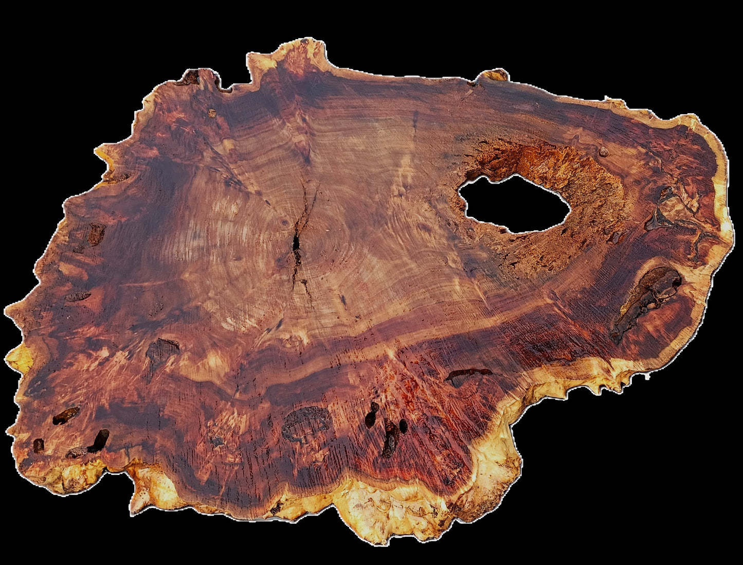 Cotton Wood | Live Edge | DIY Crafts | Wood Turning | Bowl Turning | P25-2321