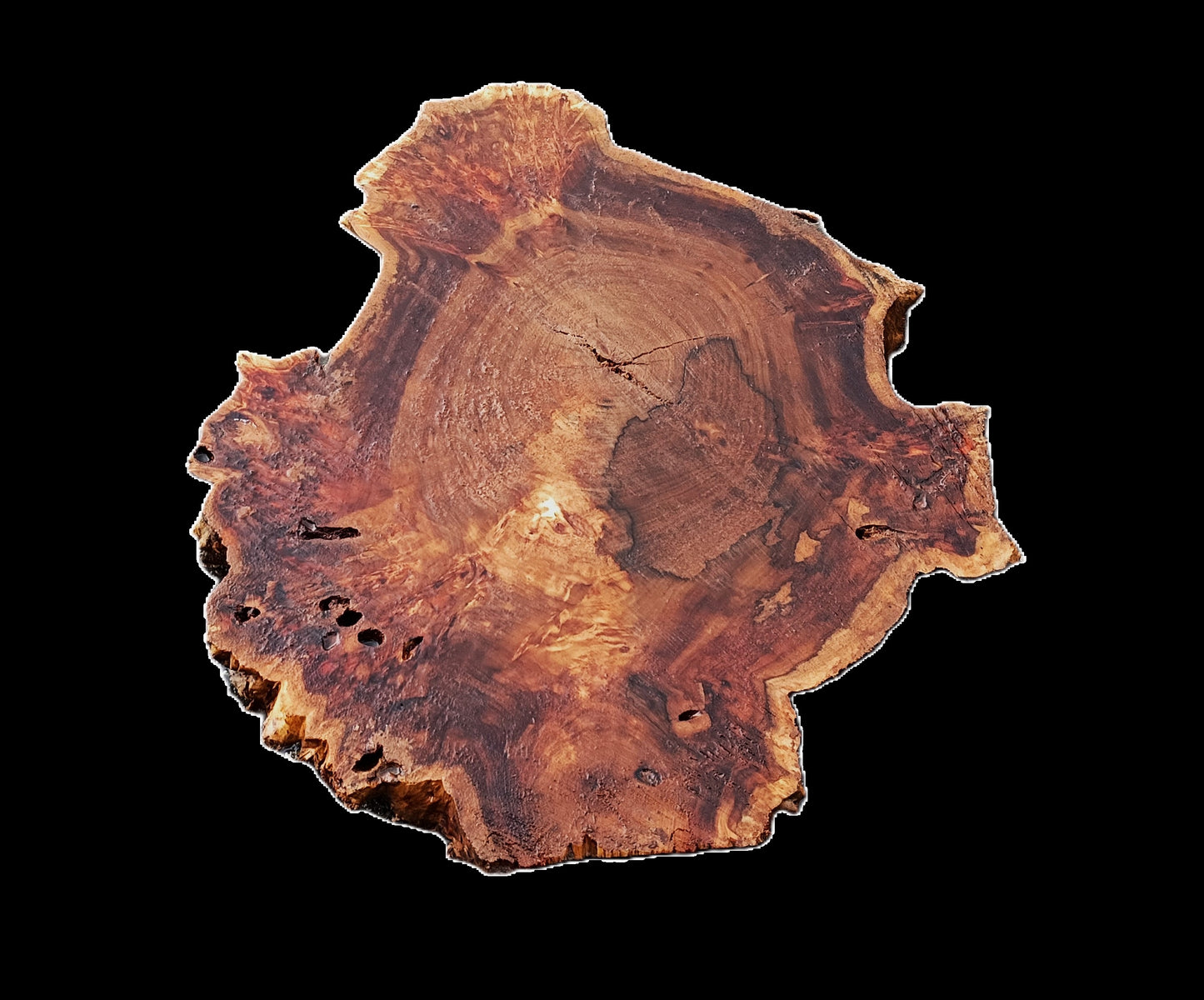 Mappa Burl Slab | DIY | cottonwood | River Table | Cookie Cut | P25-2584