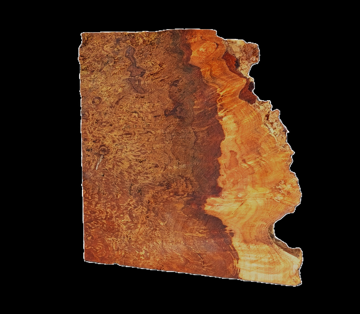 Mappa Burl Block | DIY | Craftwood | bowl turning | PBL25-2573