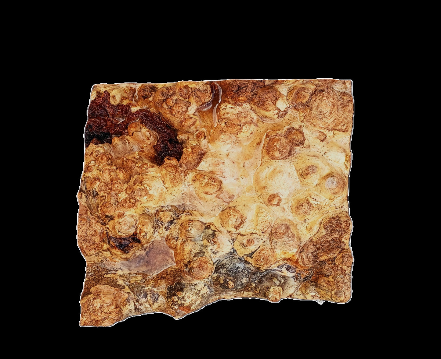 Mappa Burl Block | DIY | Craftwood | bowl turning | PBL25-2573