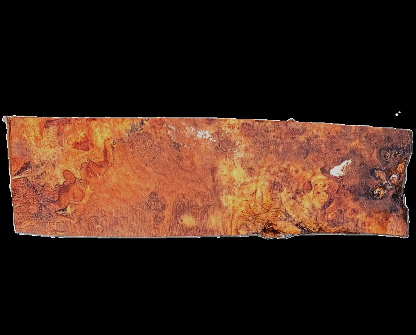 Poplar Burl Block | DIY | Craftwood | bowl turning | PBL25-2578