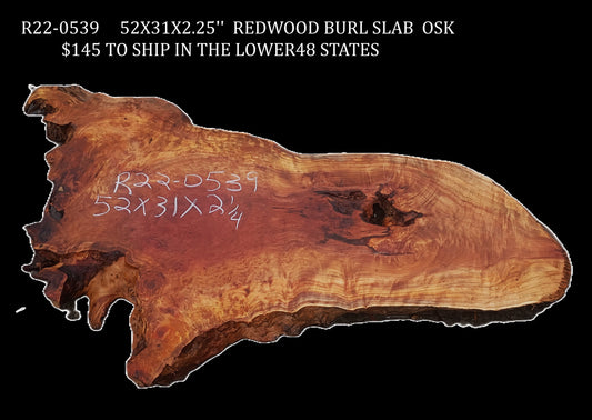 Redwood Burl | DIY | River Table | Craft Wood | R22-0539