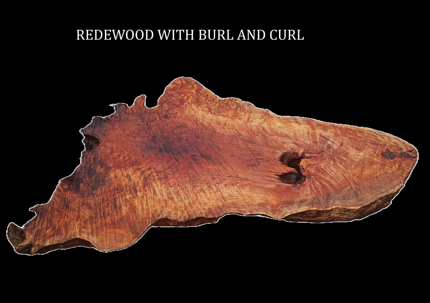 Redwood Burl | DIY | River Table | Craft Wood | R22-0539