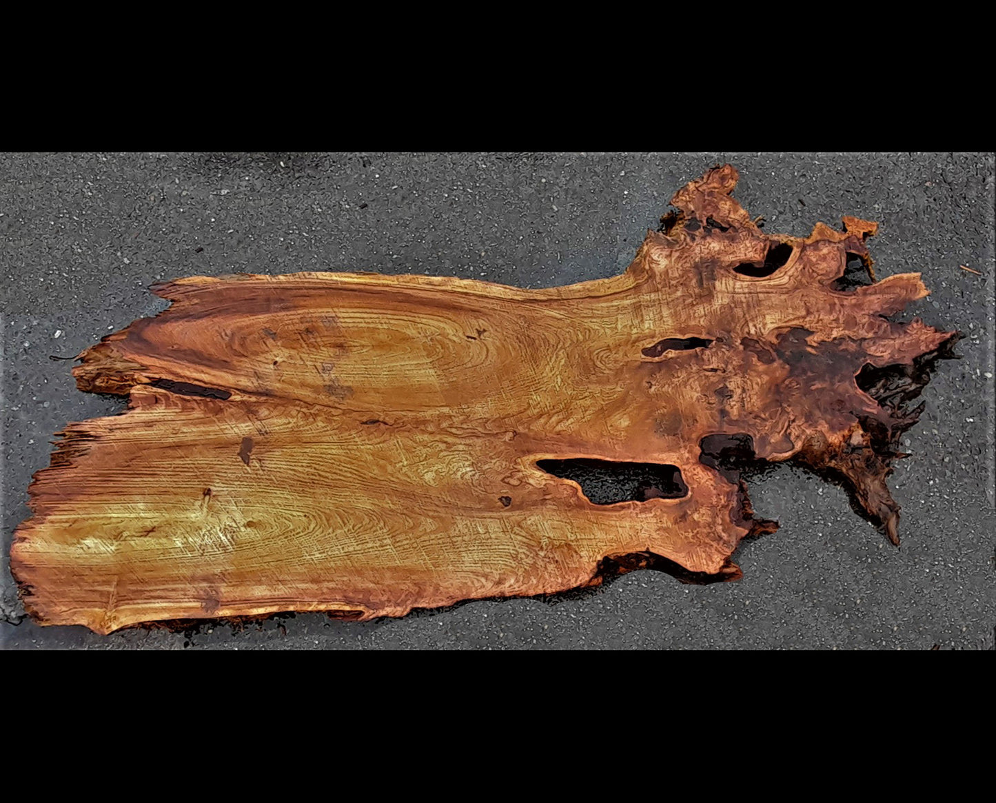 Redwood burl | epoxy river table | DIY crafts | burl table | r23-0213