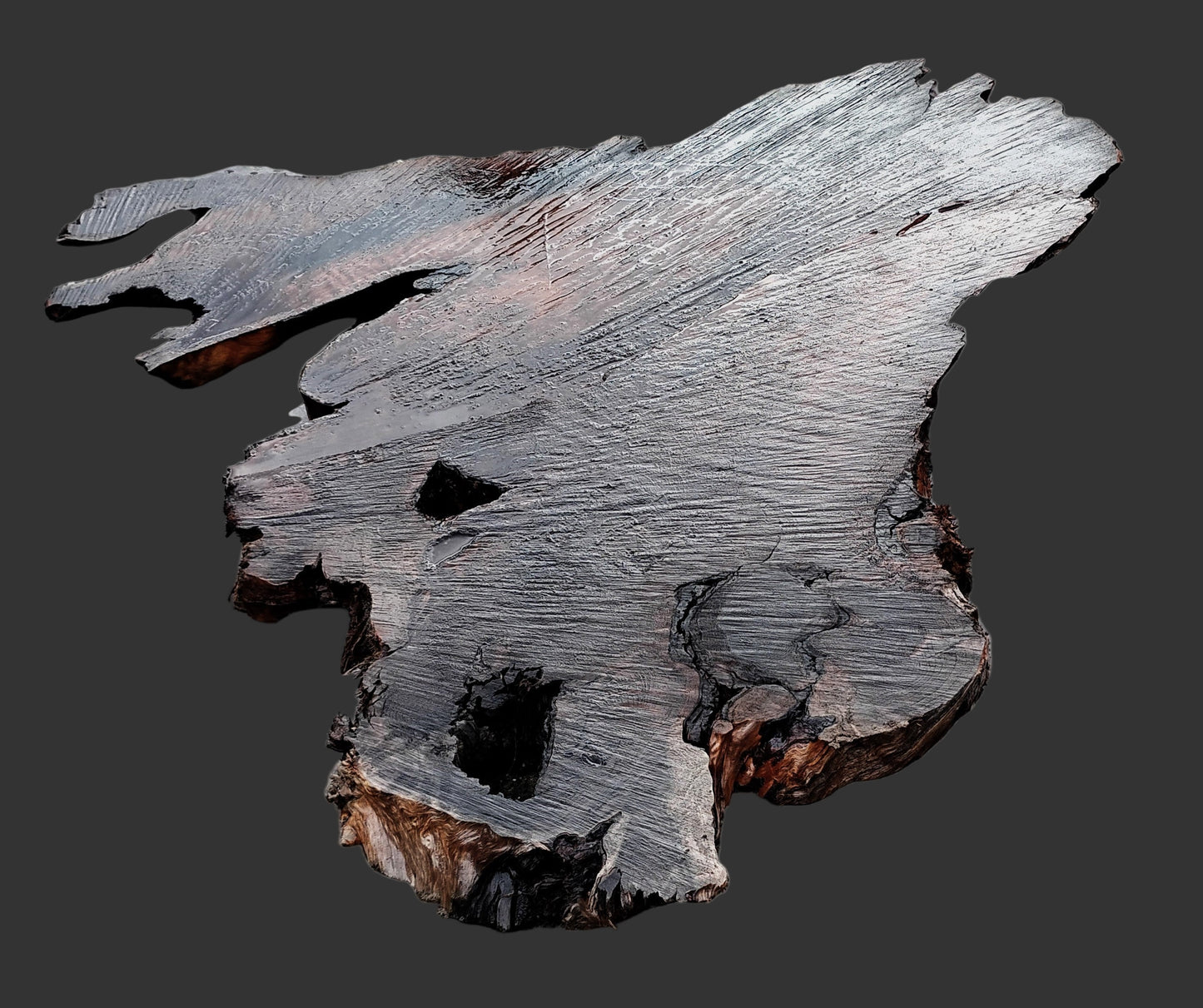Curly Redwood Burl | DIY | Table | River Table | R23-1190