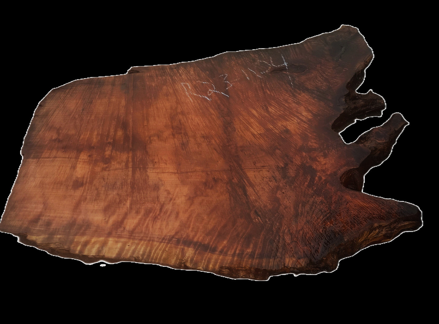 Curly Redwood Burl | DIY | River Table | Craft Wood | R23-1124