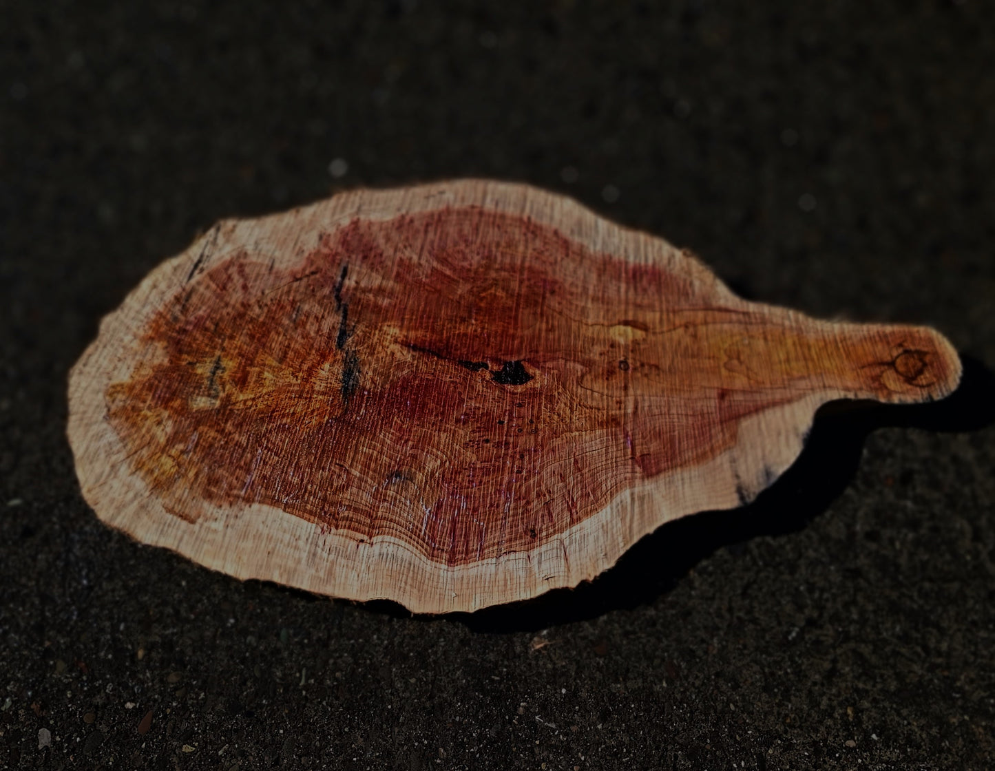 Redwood Lace Burl | Live Edge | DIY Crafts | Burl Slab | Craft Wood | R25-2481