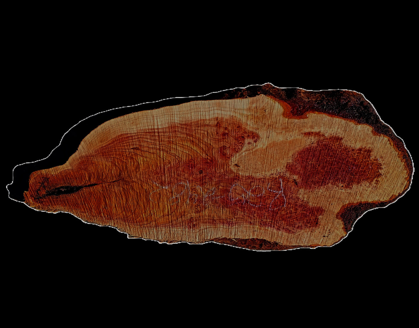 Redwood Lace Burl | DIY Crafts | Burl Slab | River Table | R25-2482