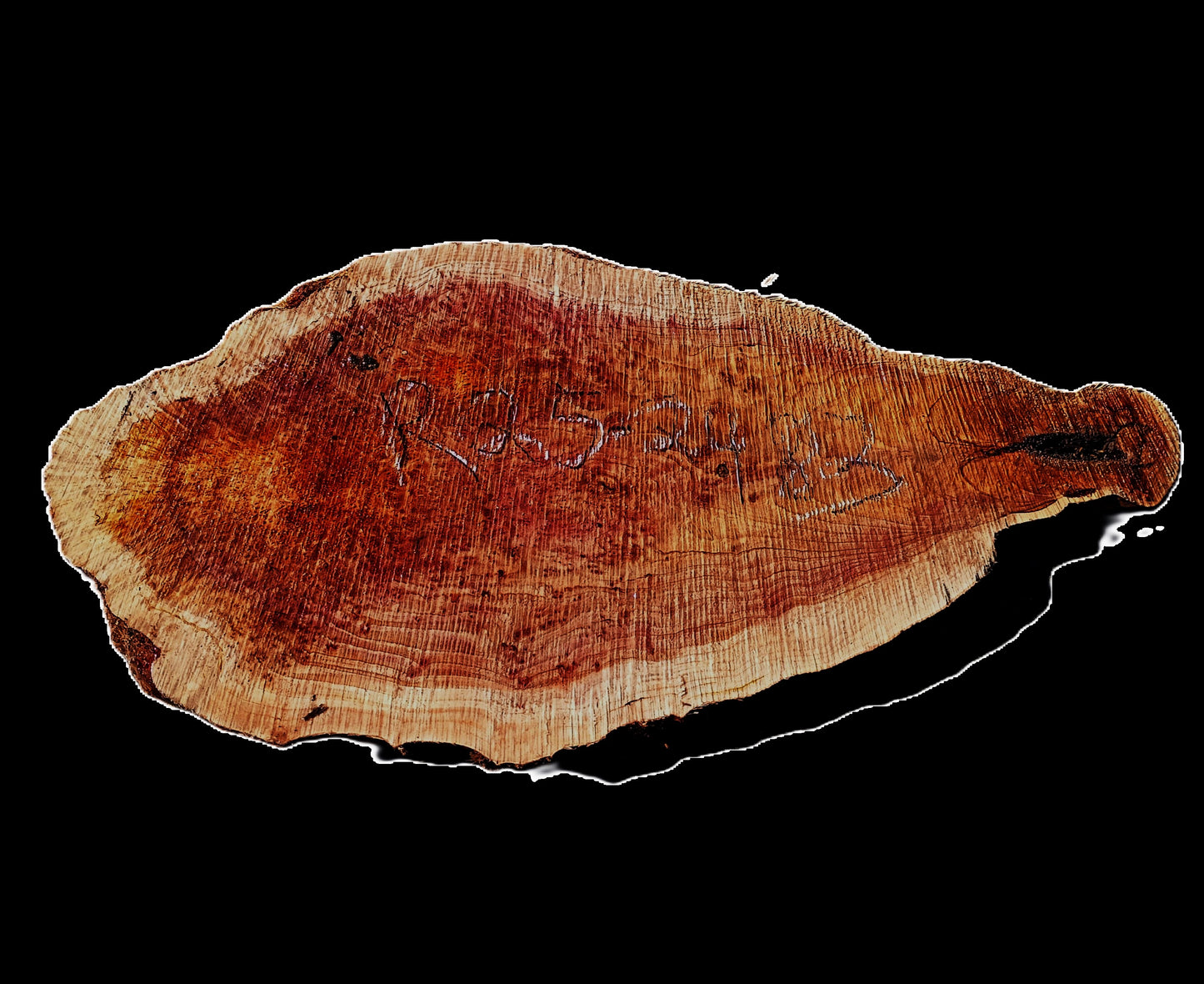 Redwood Lace Burl | DIY Crafts | Burl Slab | Craft Wood | Live Edge | R25-2483