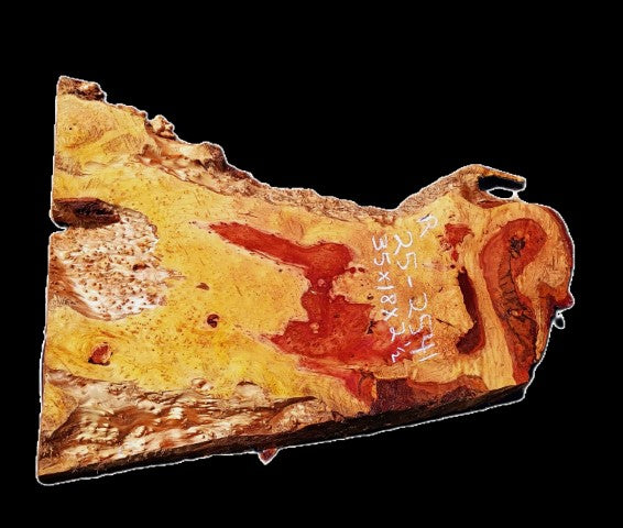 Redwood Lace Burl | DIY Crafts | River Table | R25-2541