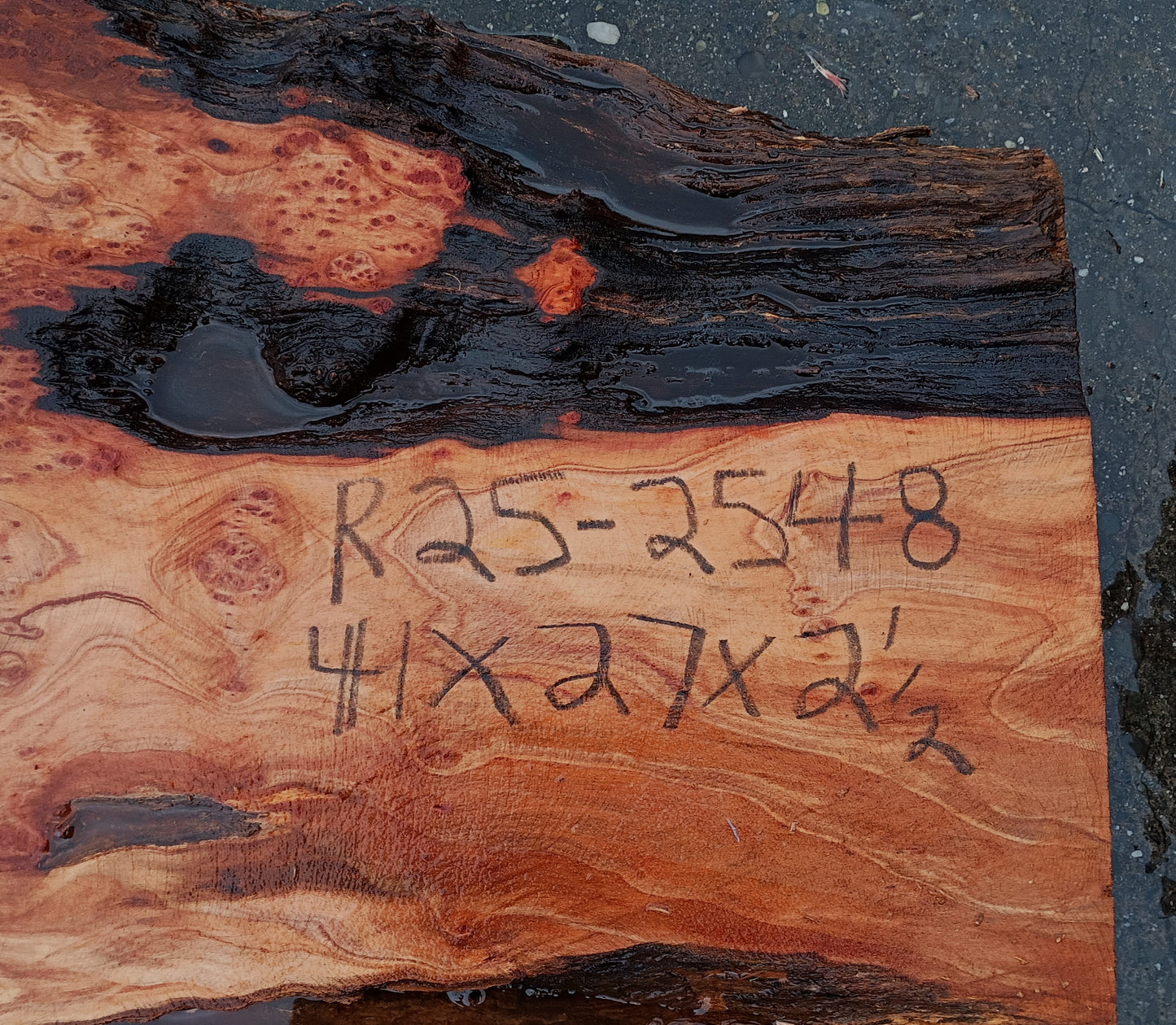 Redwood Lace Burl | DIY Crafts | River Table | R25-2548