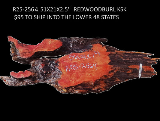 Redwood Burl Slab | DIY table | River Table | Craft Wood | R25-2564