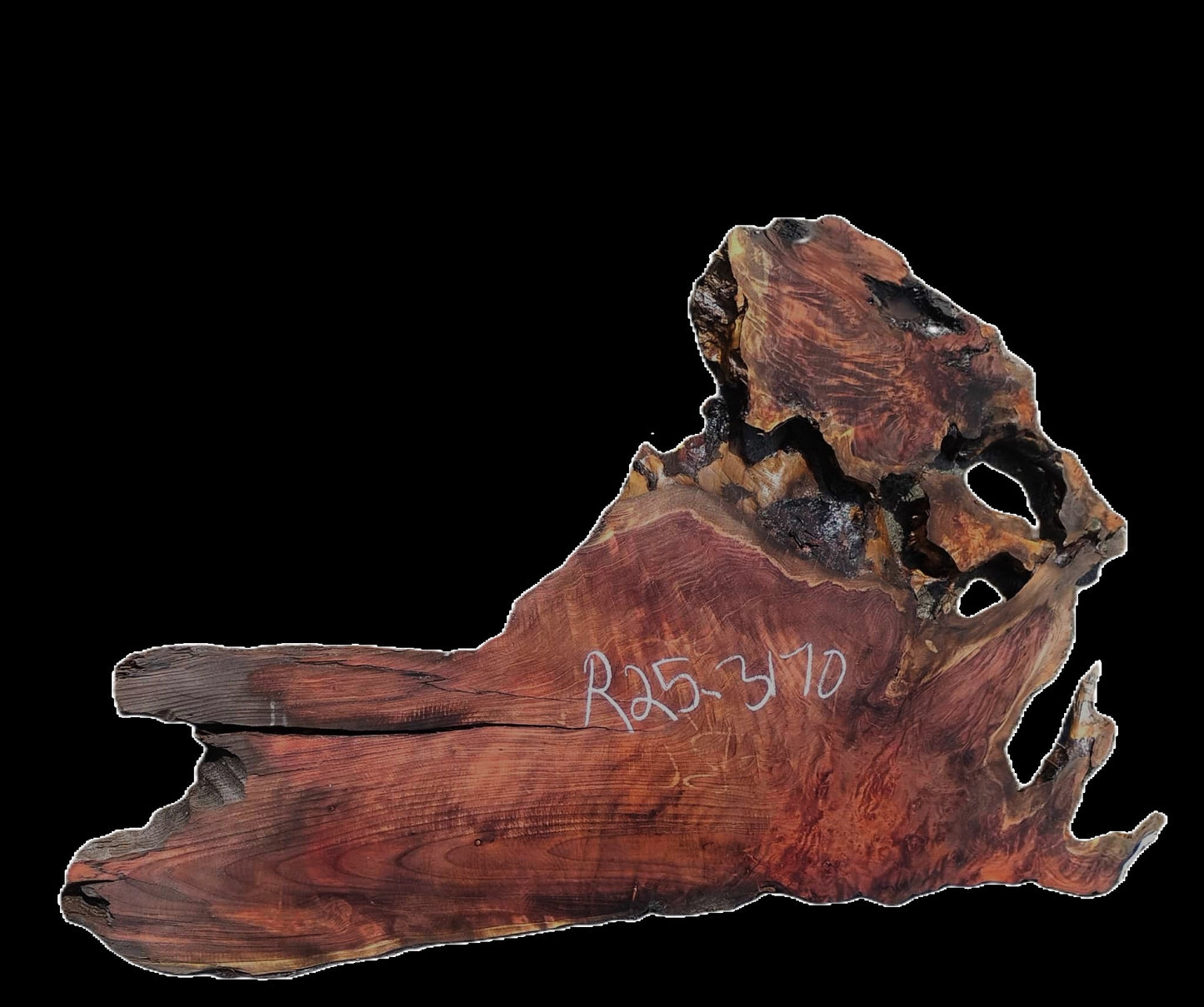Redwood Burl | DIY | River Table | Craft Wood | R25-3170