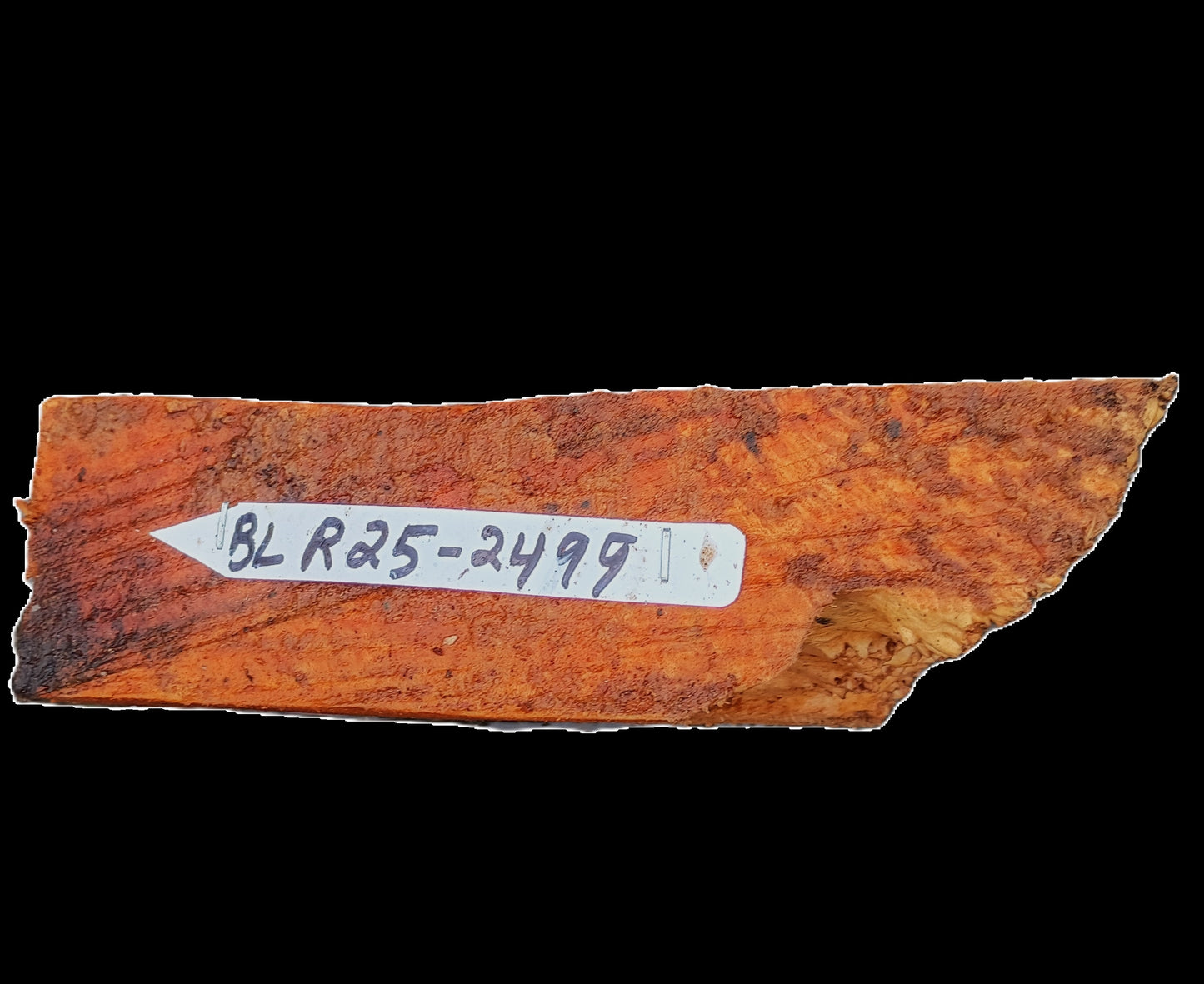 Redwood Burl Block | Bow Turning | Craft Wood | DIY | BLR25-2499
