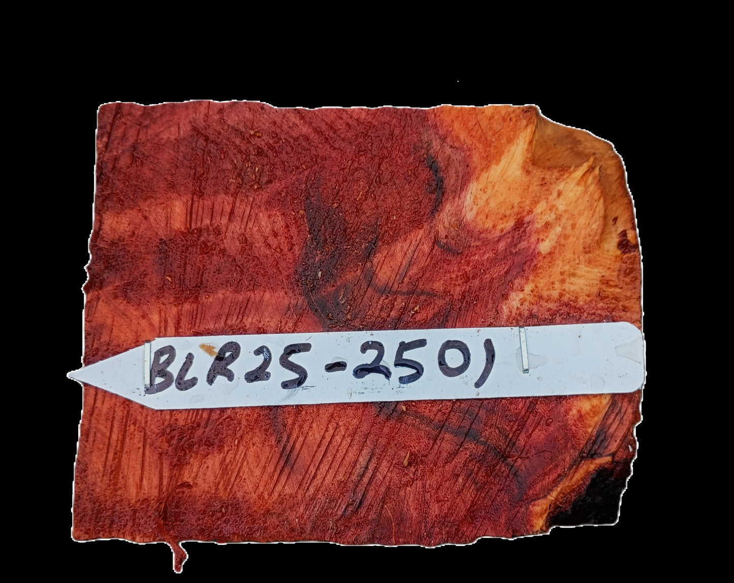 Redwood Burl | Craft Wood | DIY | RBL25-2501