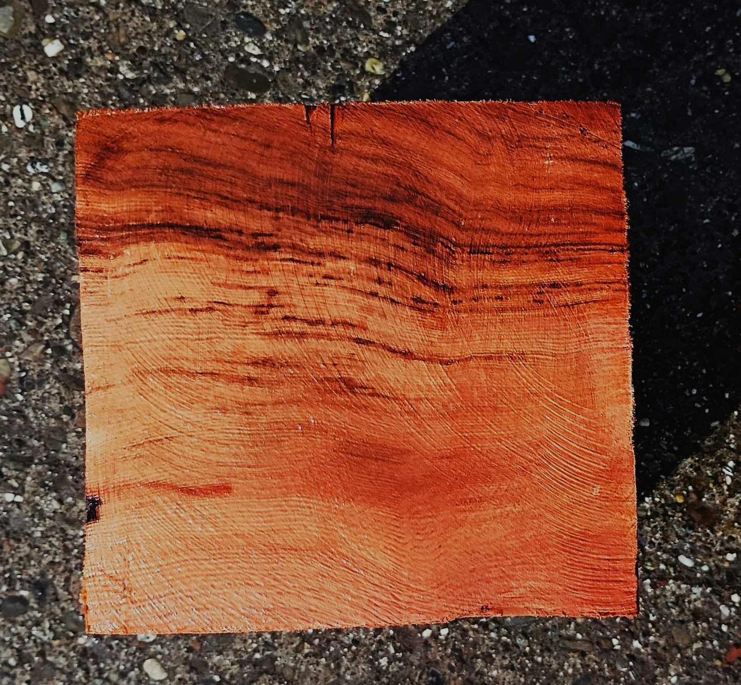 Old Growth Redwood Burl | Turning Block | DIY | RBL25-2567