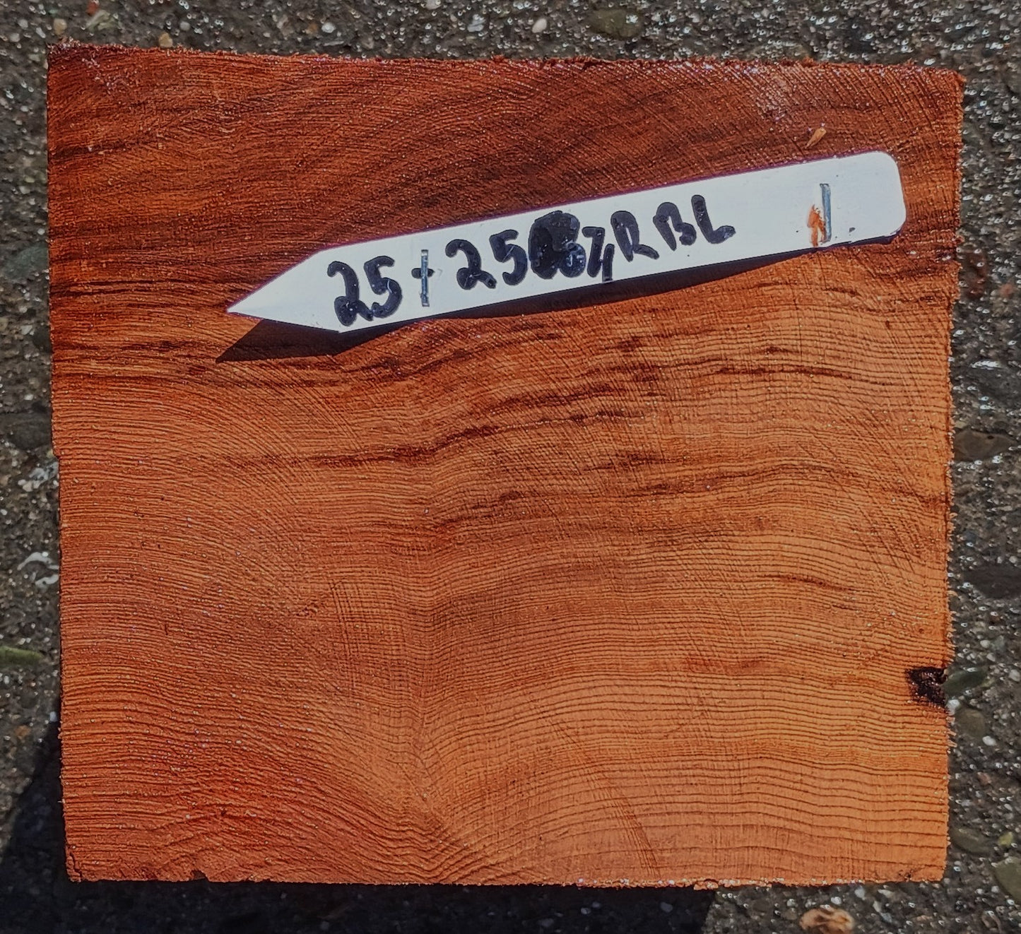 Old Growth Redwood Burl | Turning Block | DIY | RBL25-2571