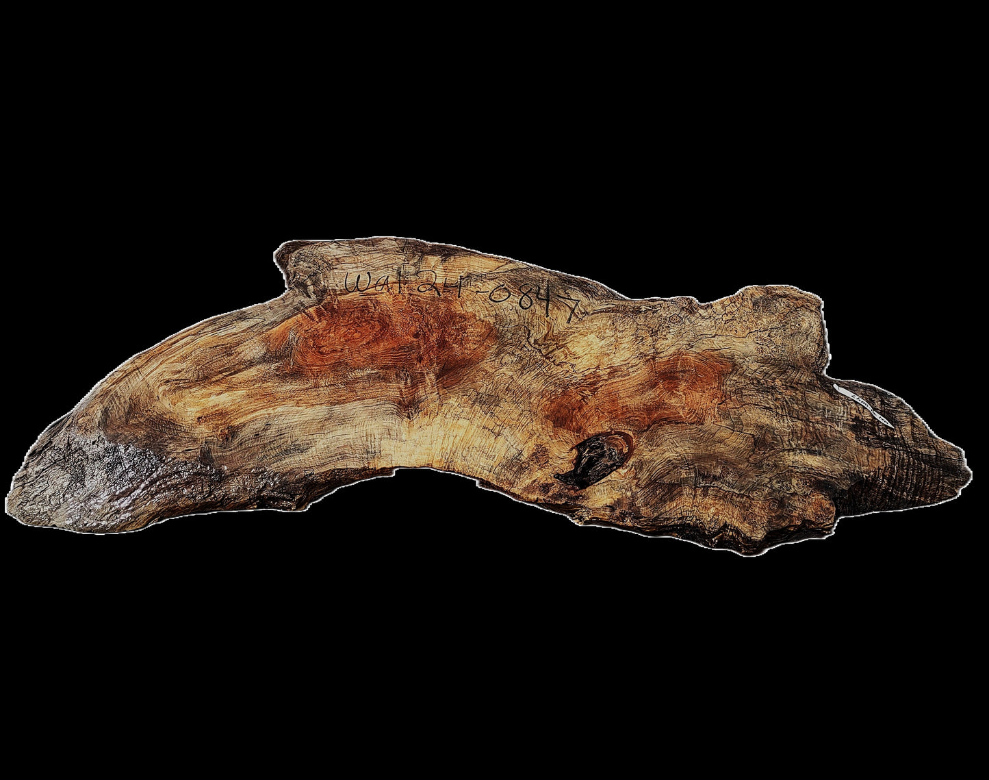 English Walnut Slab | Table | Counter | Live Edge | Desk | Wal24-0847