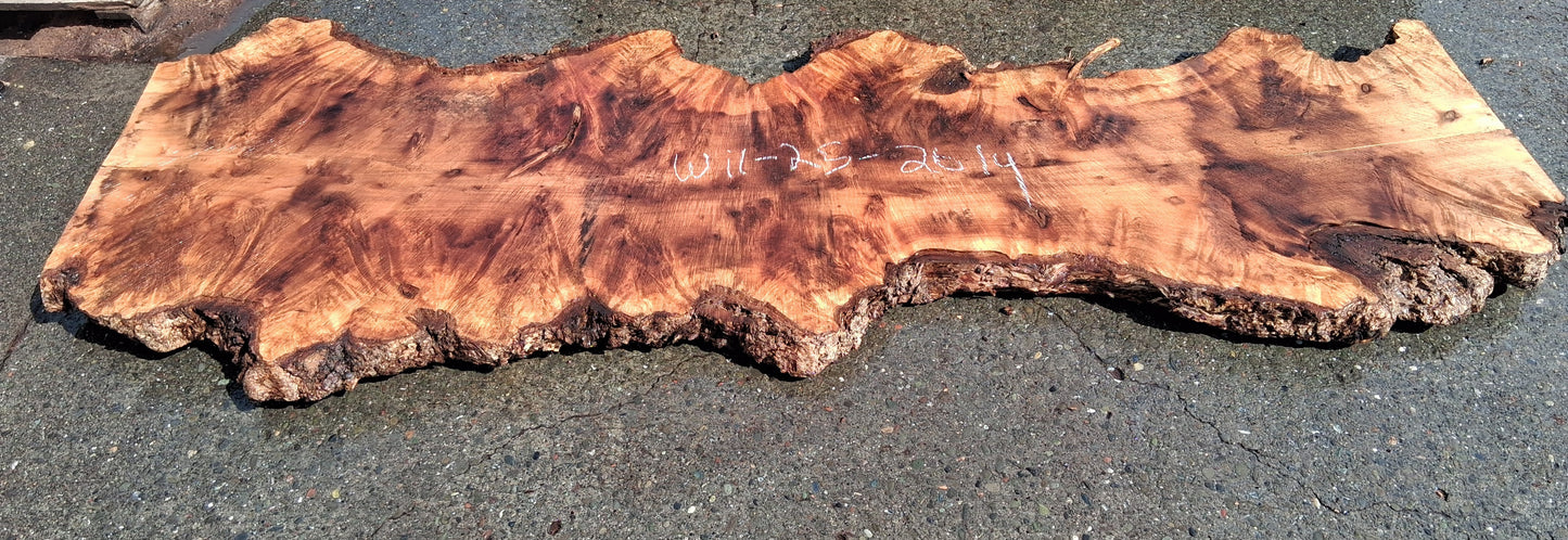 Sitka Willow Burl | DIY | River Table | Live Edge Slab | WIL25-2614