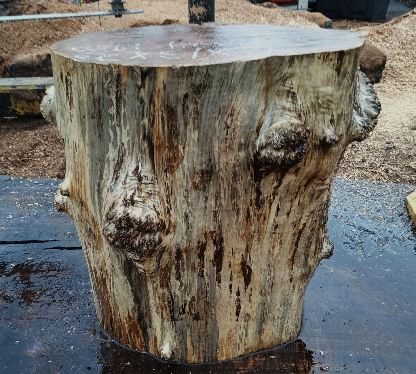 Maple Burl Base | Mount | Small Table Base | BA24-1980