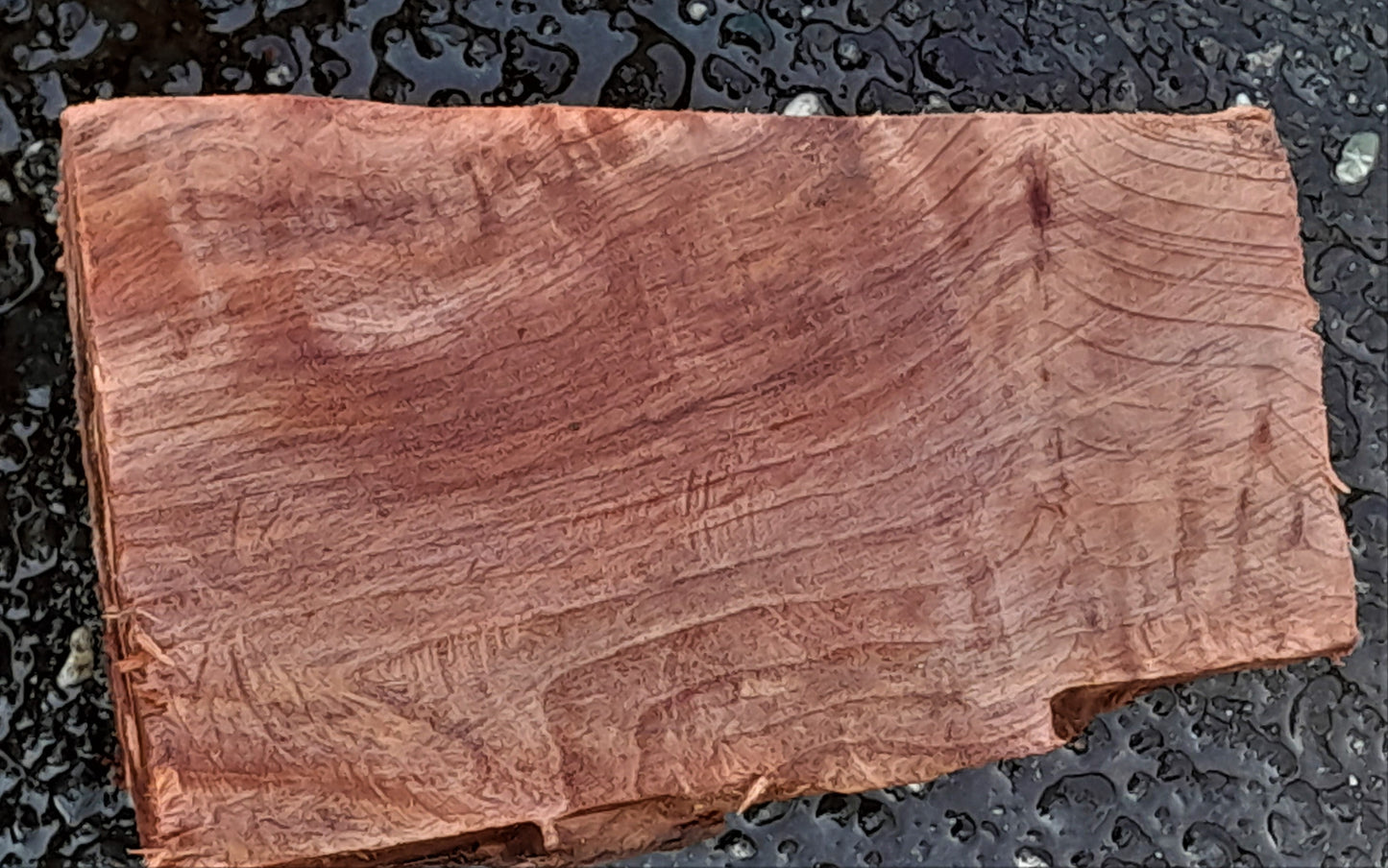 Redwood lace burl | | DIY wood crafts | Turning stock | bl23-0112-r