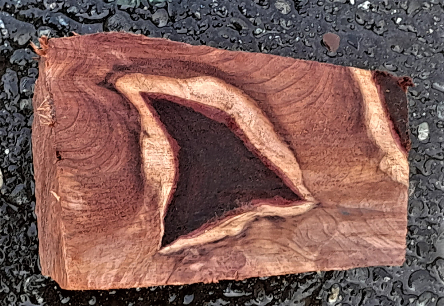 Redwood lace burl | | DIY wood crafts | Turning stock | bl23-0112-r