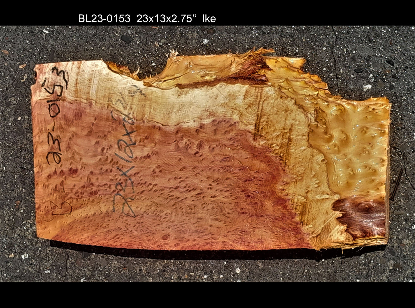 redwood lace burl | DIY crafts | wood crafts | Luthier wood | 23-0153-GB