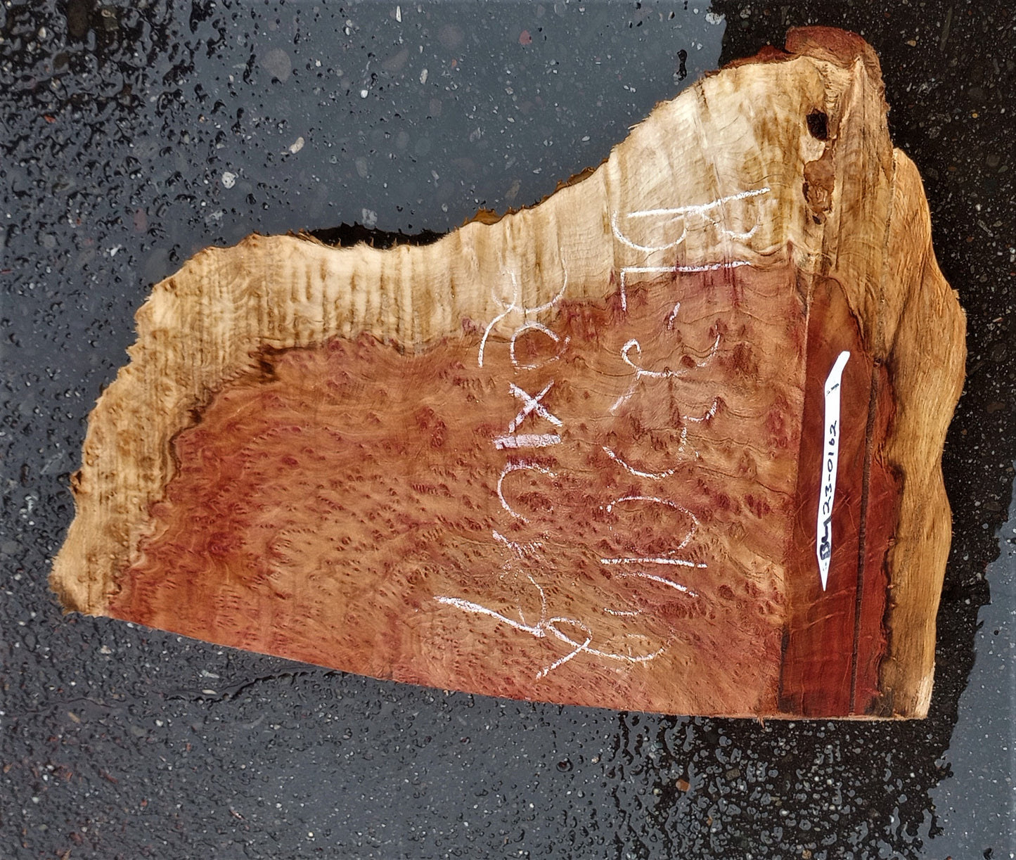 redwood lace burl | DIY crafts | wood turning | bowl block blank | bl23-0162