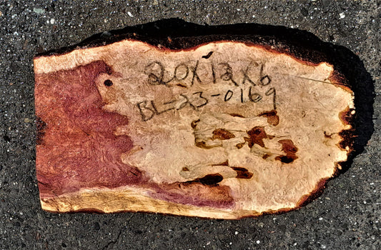 redwood lace burl | DIY crafts | wood crafts | Luthier wood | bl23-0169