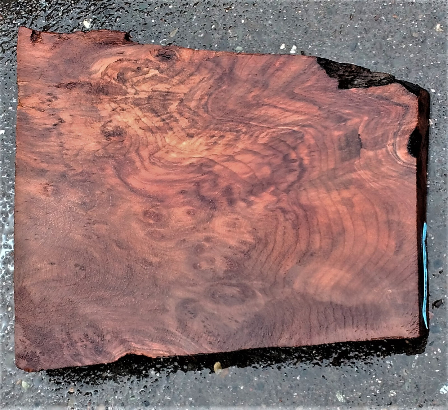 Redwood burl | bowl turning | wood turning | DIY wood crafts | bl23-0240
