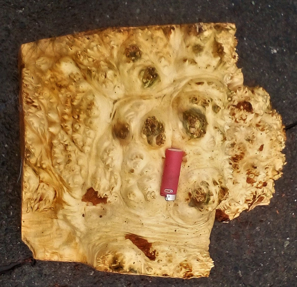 Maple burl slab | live edge | river table | DIY crafts | burl clock | ma23-0264