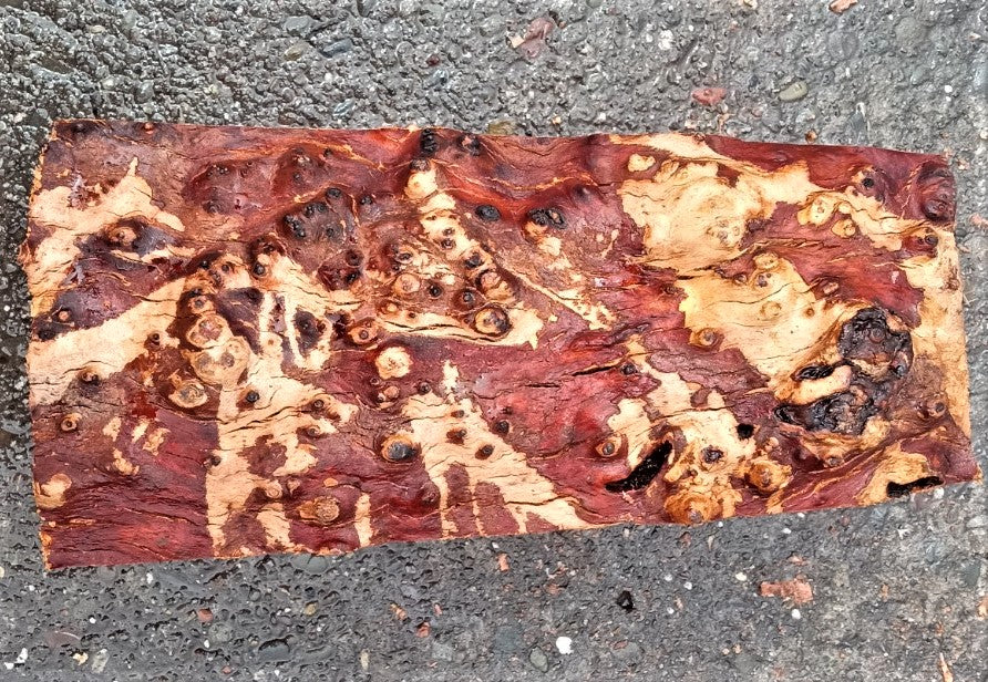 Madrone burl | bowl turning | wood turning | DIY wood crafts | bl23-0538