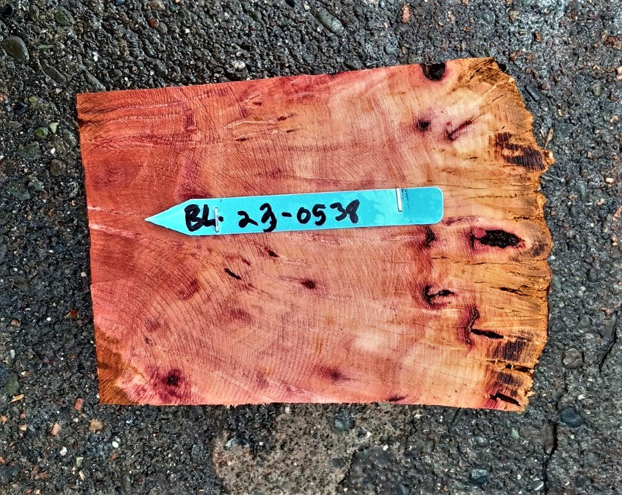 Madrone burl | bowl turning | wood turning | DIY wood crafts | bl23-0538
