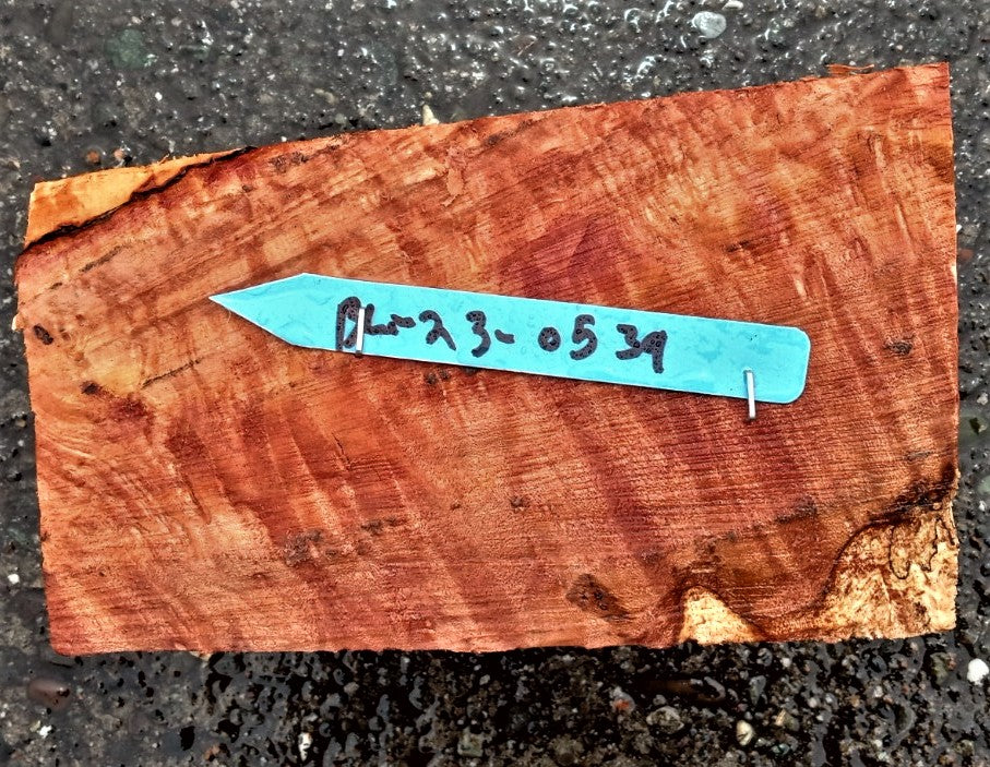 Madrone burl | bowl turning | wood turning | DIY wood crafts | bl23-0539