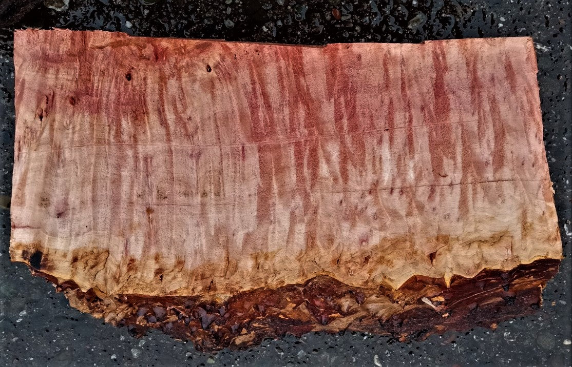 Myrtle burl | bowl turning | wood turning | DIY wood crafts | bl23-0540