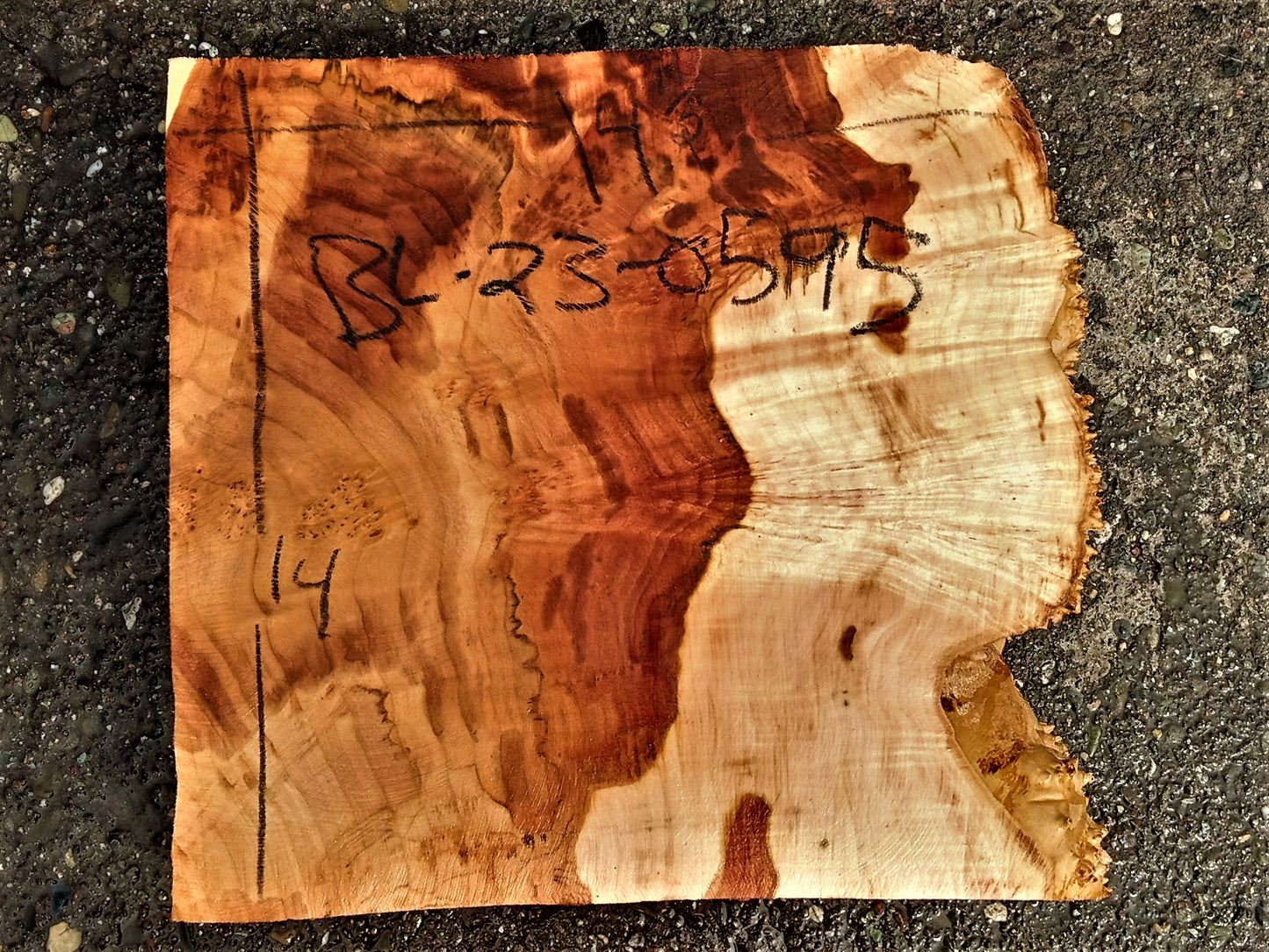 Maple burl | bowl turning | wood turning | DIY crafts | bl23-0595