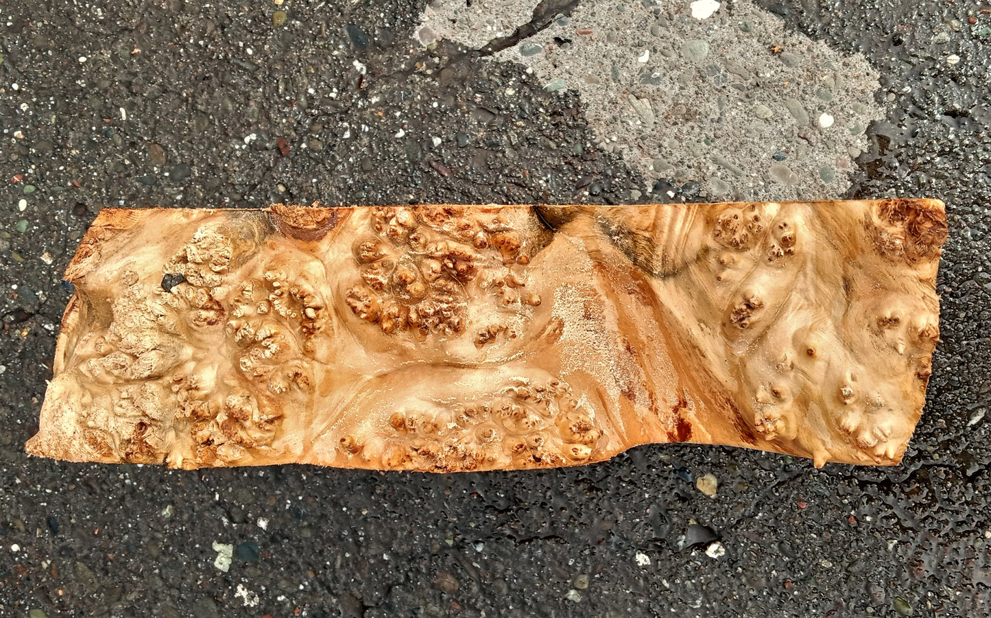 Maple burl | bowl turning | wood turning | DIY crafts | bl23-0595