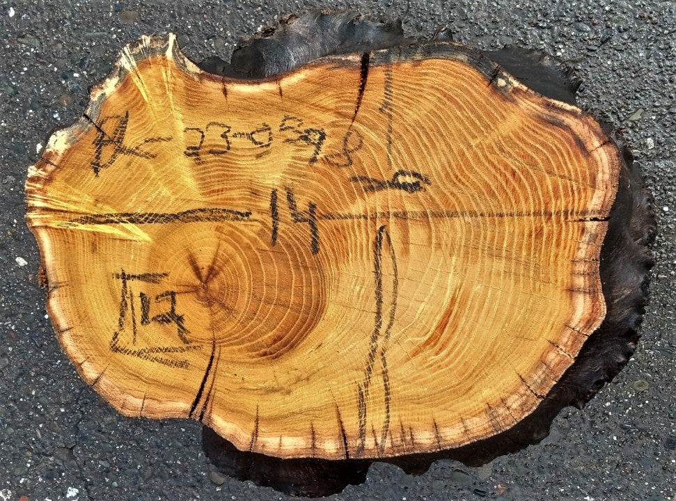 Mulberry burl | bowl turning | wood turning | DIY crafts | bl23-0598