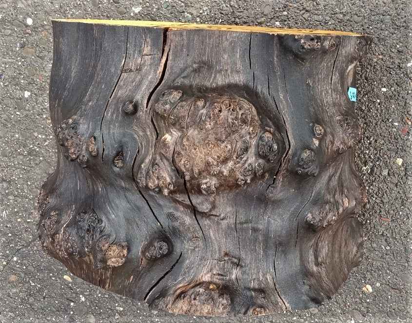 Mulberry burl | bowl turning | wood turning | DIY crafts | bl23-0598
