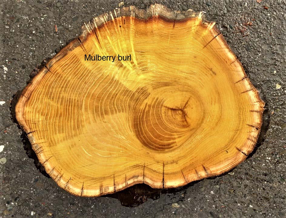 Mulberry burl | bowl turning | wood turning | DIY crafts | bl23-0598