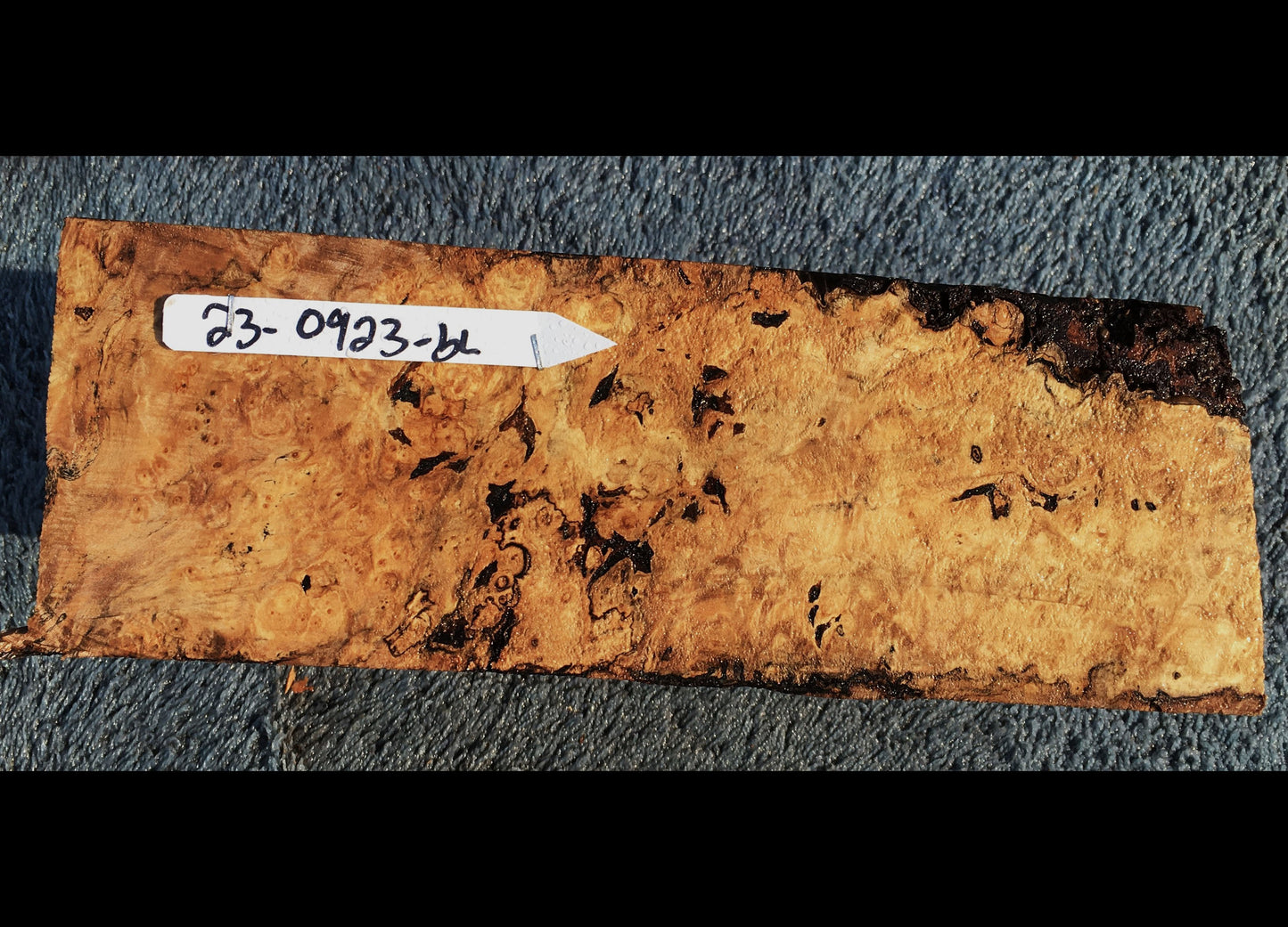 Maple burl slab | bowl blank | DIY wood | wood turning | Mabl23-0923