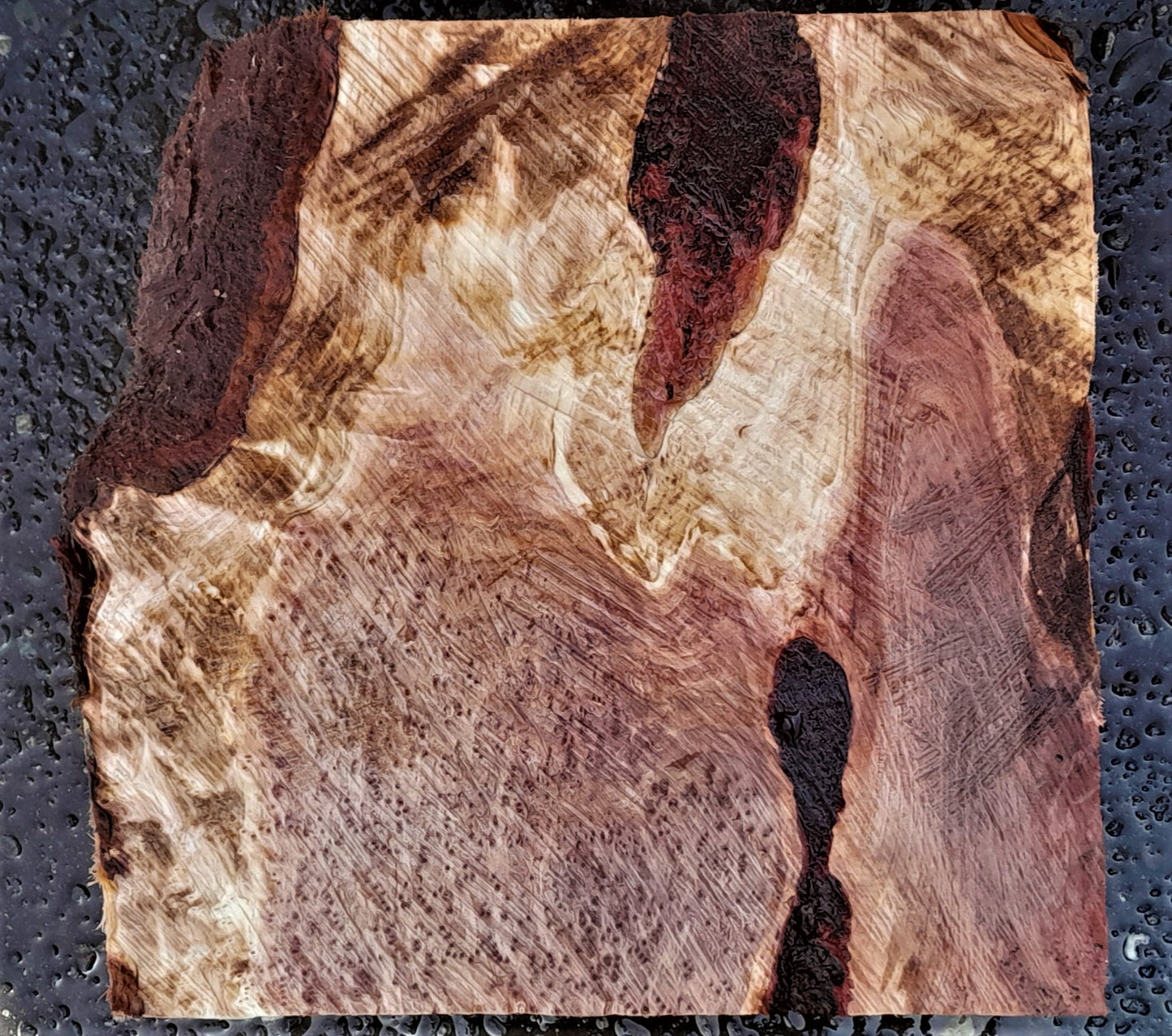 Redwood burl | | DIY wood crafts | Turning stock | bl23-0154-r