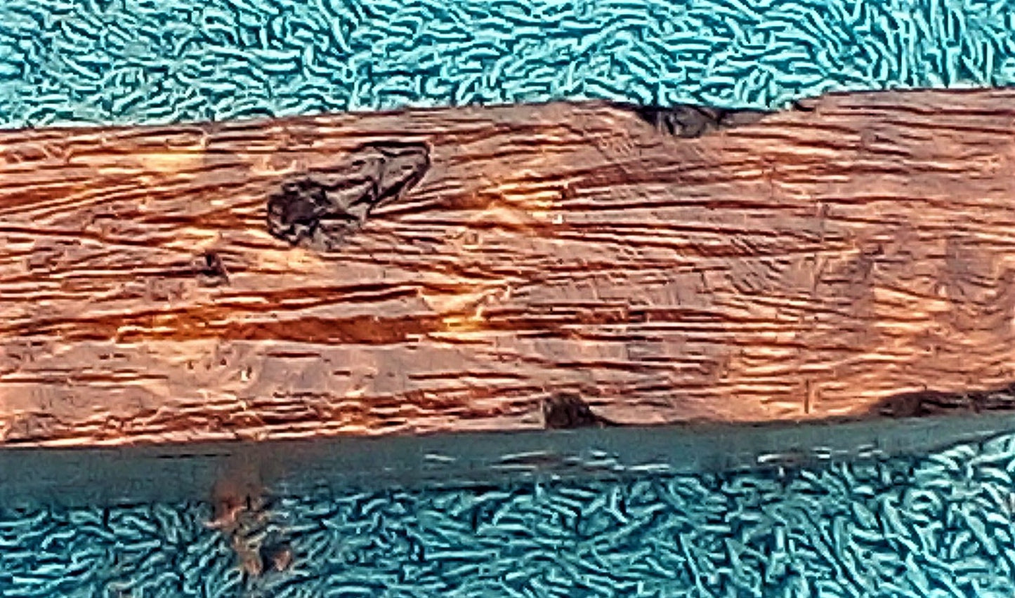 Redwood burl | bowl turning | wood turning | DIY crafts | bl23-0568