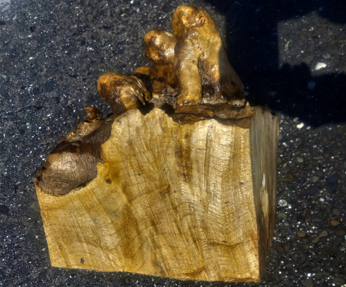 Myrtle burl | DIY wood crafts | bowl turning | craft wood | bl5074