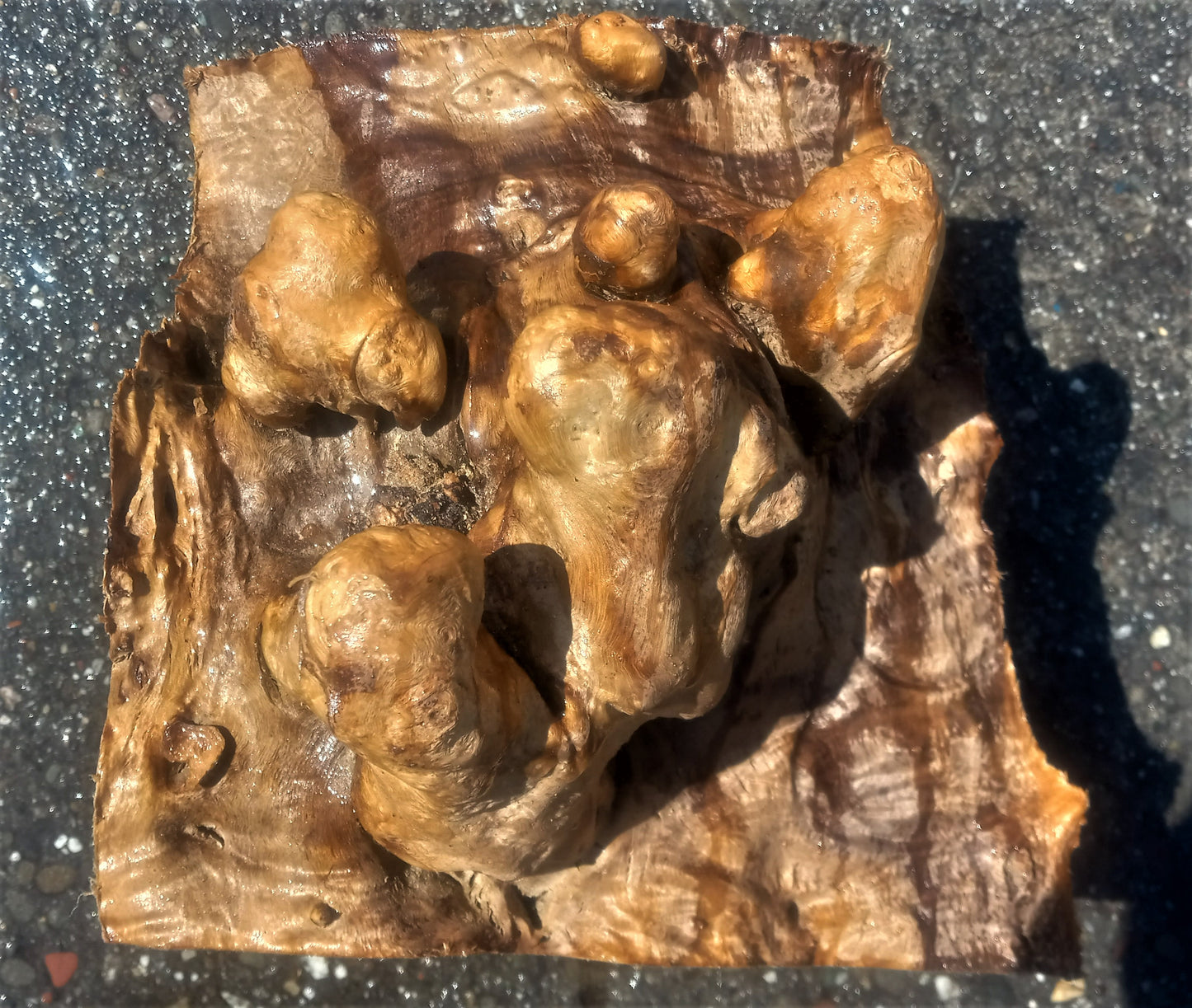 Myrtle burl | DIY wood crafts | bowl turning | craft wood | bl5074