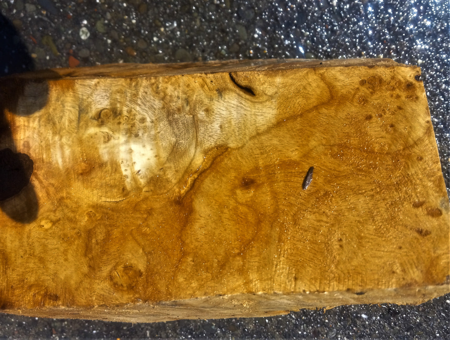 Myrtle burl | DIY wood crafts | bowl turning | craft wood | bl5074